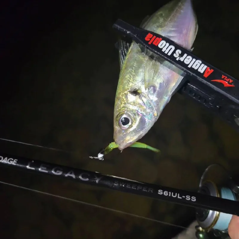 Спининг въдица APIA Grandage Legacy Sweeper S61UL-SS