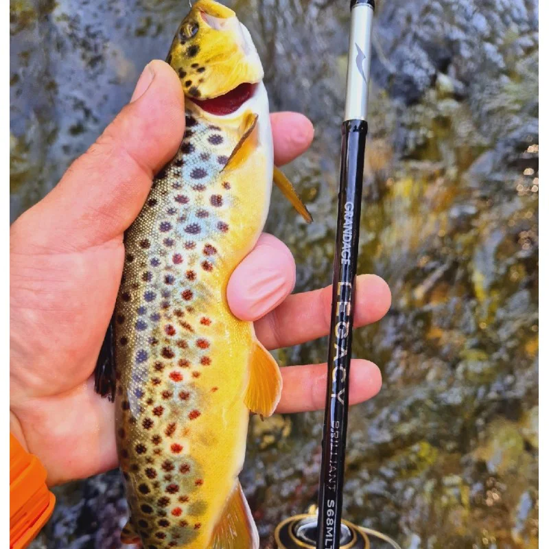 Спининг въдица APIA Grandage Legacy Brilliant S68MLT