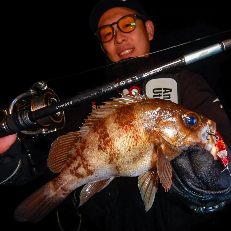 Спининг въдица APIA Grandage Legacy Ruthless S86MHT