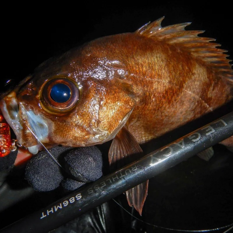 Спининг въдица APIA Grandage Legacy Ruthless S86MHT