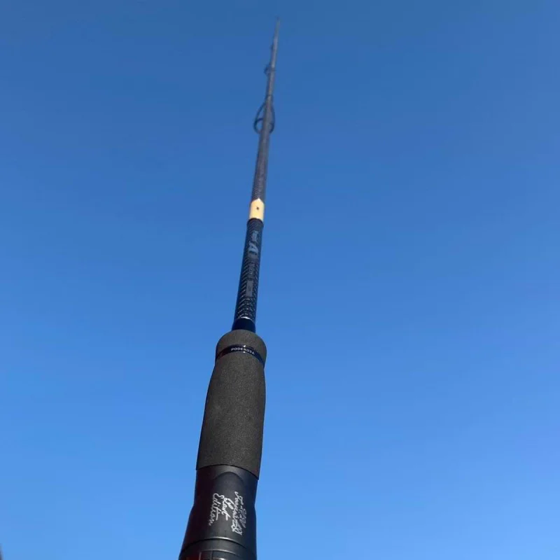 Спининг въдица Apia Foojin AD Last Edition Poderosa 102M