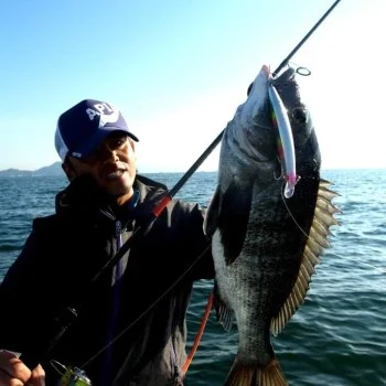 Воблер APIA Dover 120F 18g