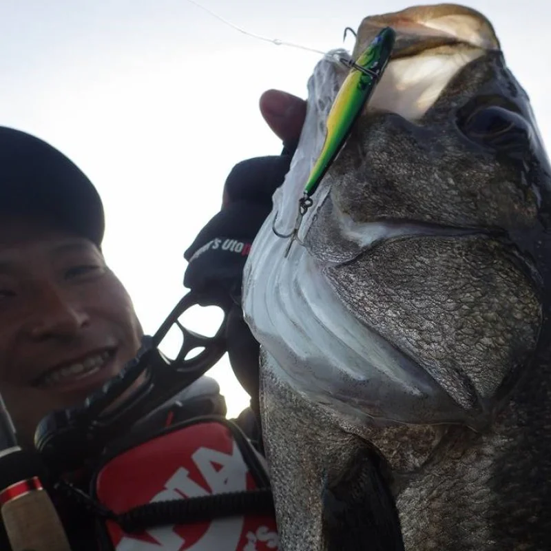 Грипер APIA Xband HD