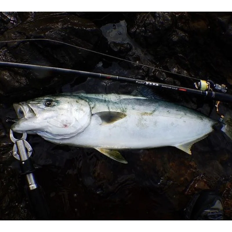 Спининг въдица APIA Foojin BB Monster Gale 110H