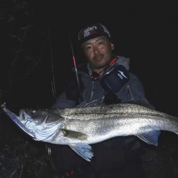 Воблер APIA Lammtarra Badel 105F 15g