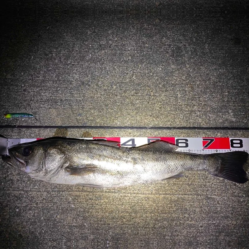 Воблер APIA Lammtarra Badel 105F 15g