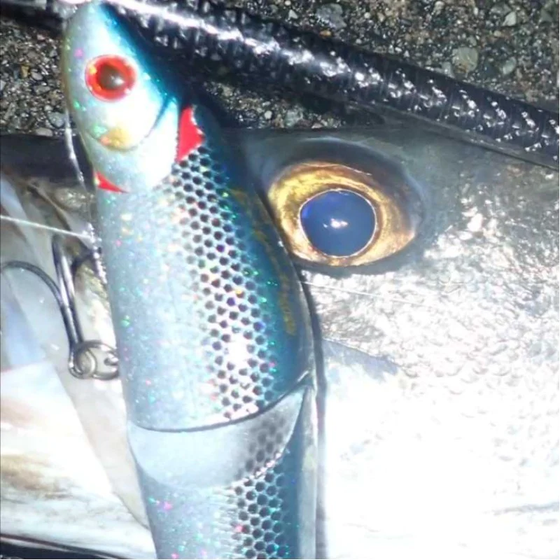 Воблер APIA Brigante 160SW 48g