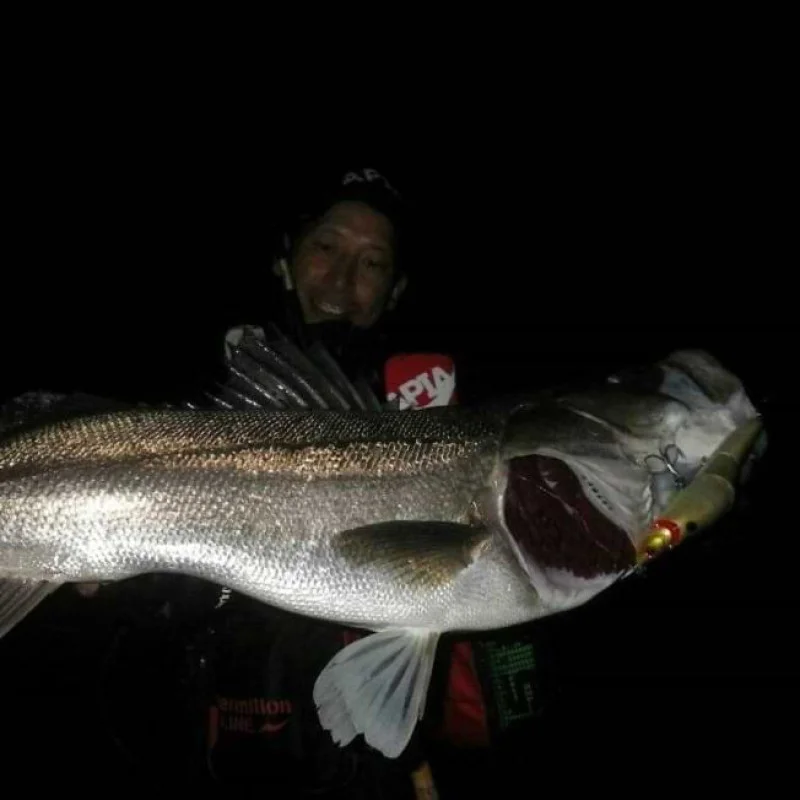 Воблер APIA Brigante 160SW 48g