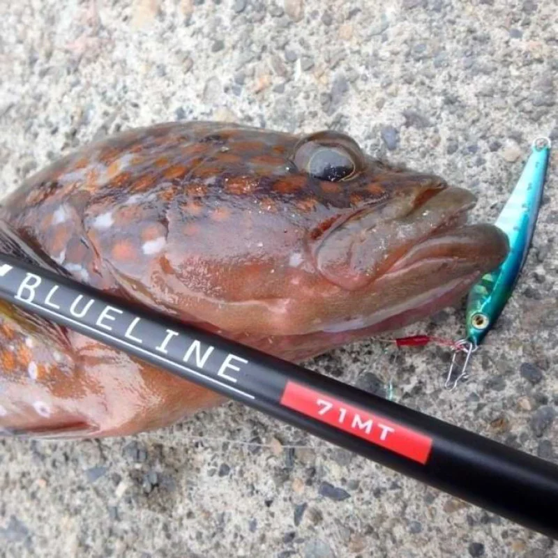 Джиг APIA Seiryu Hyper 40g