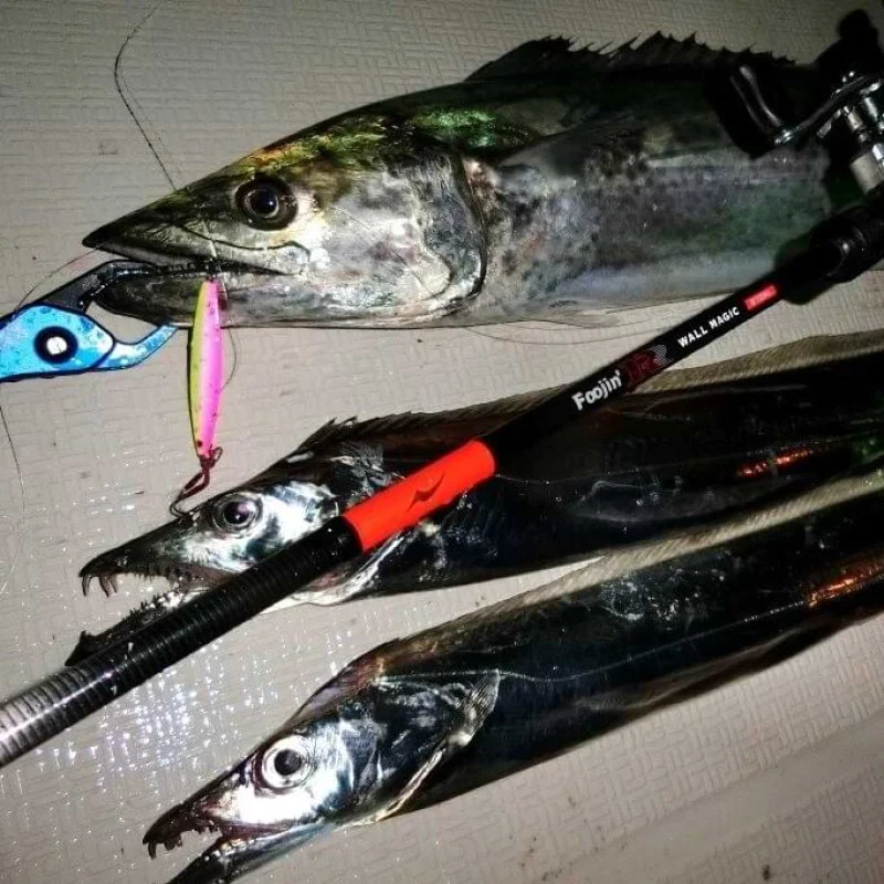 Джиг APIA Seiryu Hyper 15g