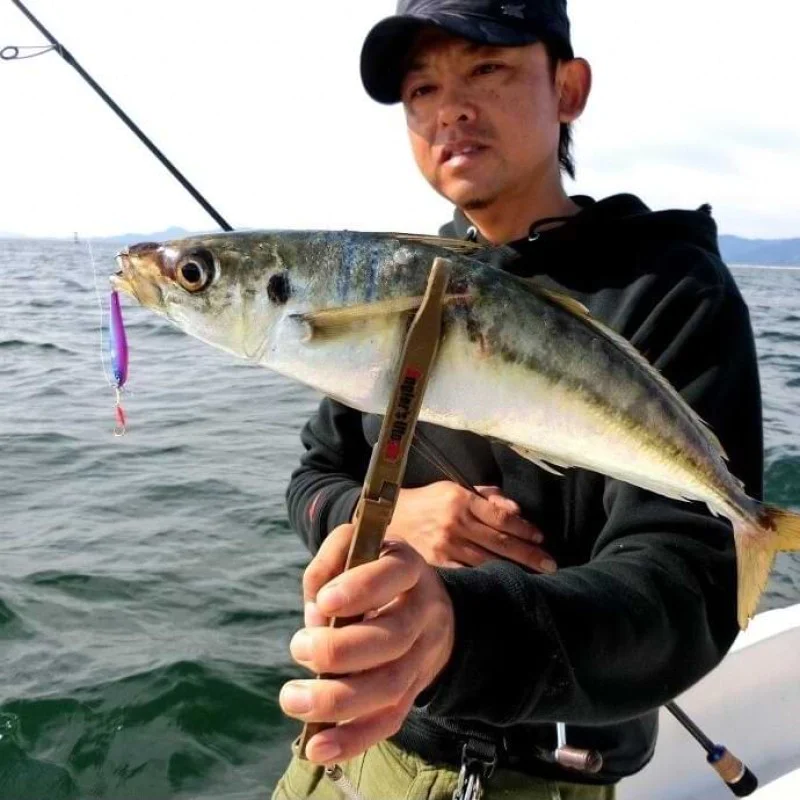 Джиг APIA Seiryu Hyper 15g