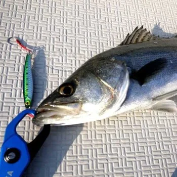 Джиг APIA Seiryu Hyper 30g