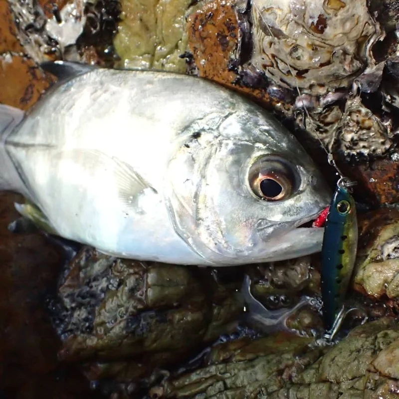 Джиг APIA Seiryu Bits 10g