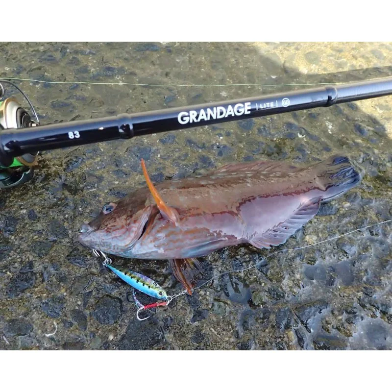 Джиг APIA Seiryu Bits 6g