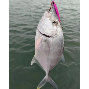 Джиг APIA Seiryu Bits 10g