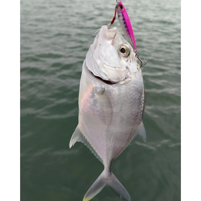 Джиг APIA Seiryu Bits 10g