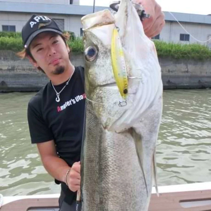 Воблер APIA Dover 82S 10g