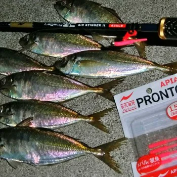 Силиконова примамка APIA Pronto 3.8cm