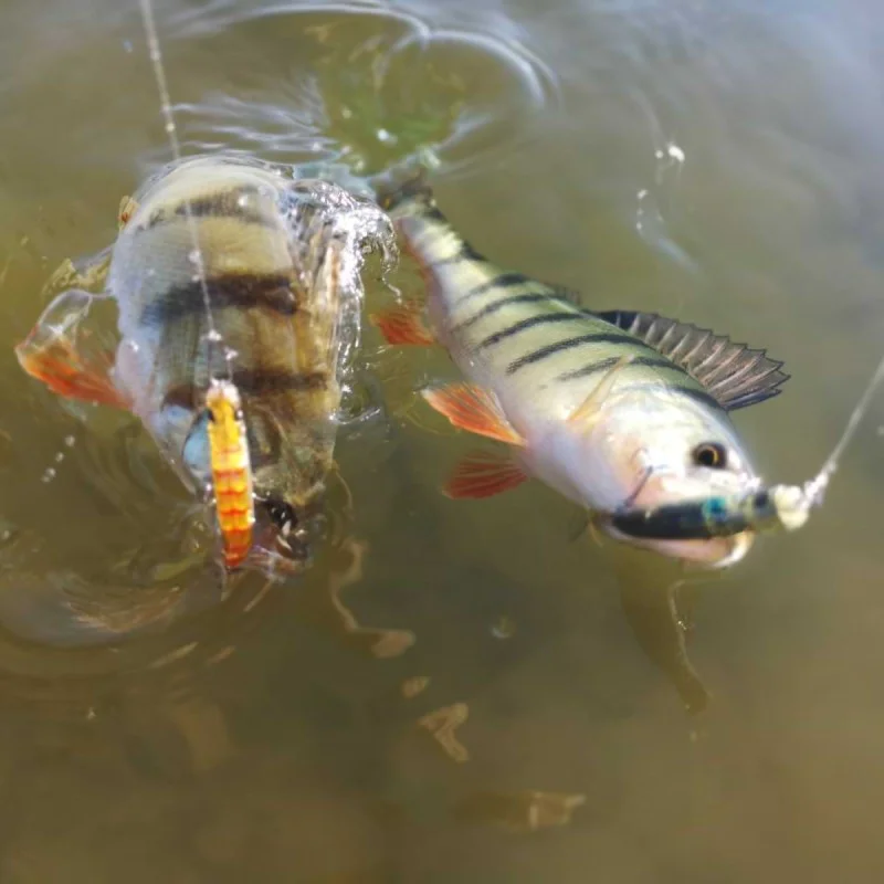 Воблер APIA Punch Line 45 3.4g