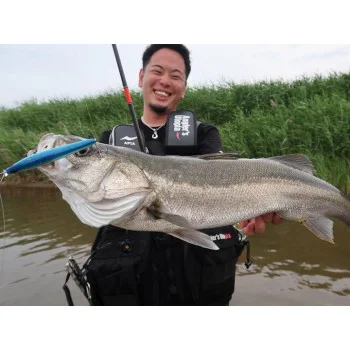 Воблер APIA Ailed'ore 115F 18g Floating