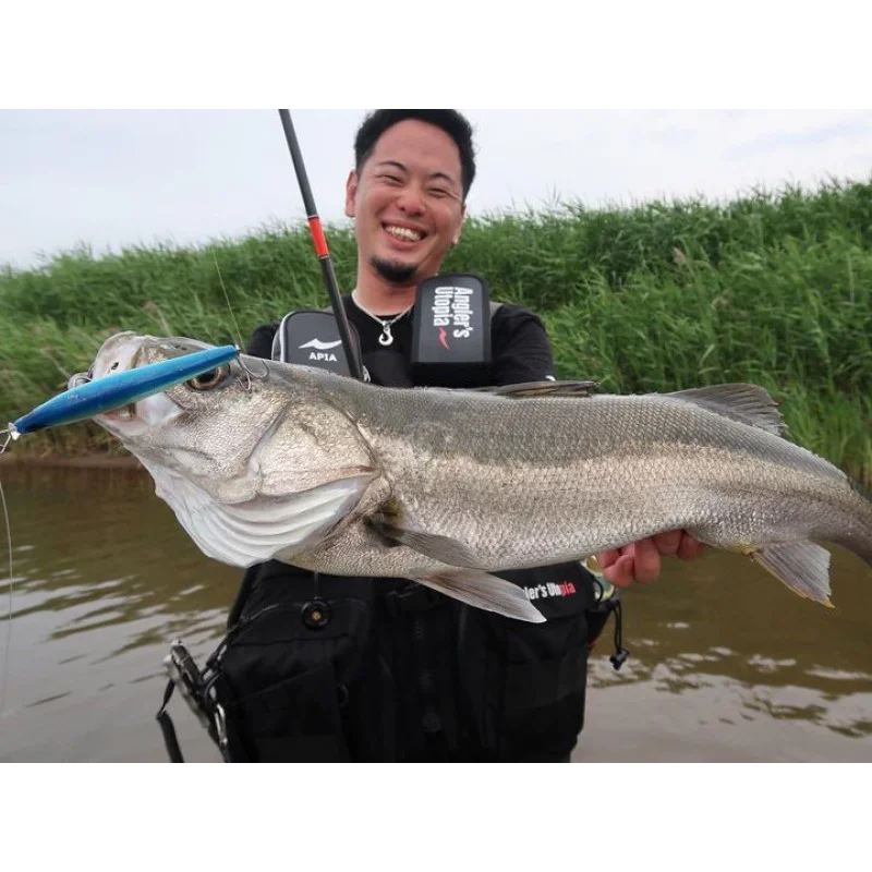 Воблер APIA Ailed'ore 115F 18g Floating