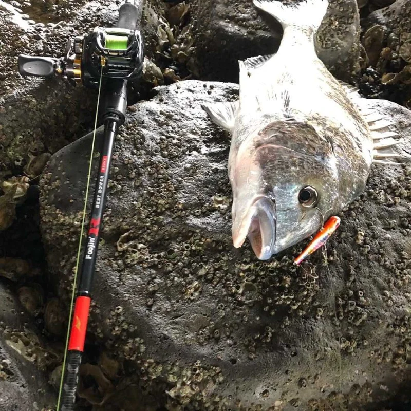 Цикада APIA Bit V 12g