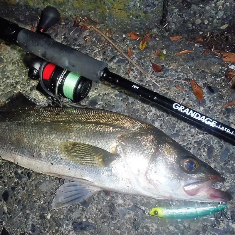 Спининг въдица APIA Grandage STD 76M