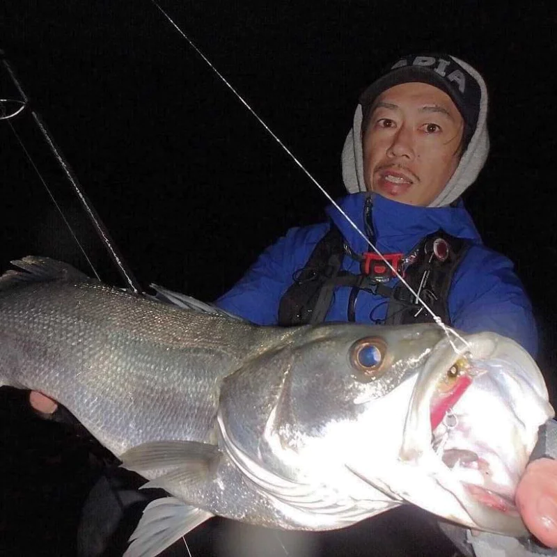 Спининг въдица APIA Grandage STD 76M