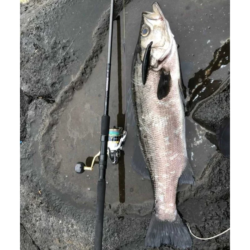 Спининг въдица APIA Grandage STD 100M