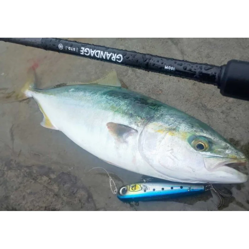 Спининг въдица APIA Grandage STD 100M