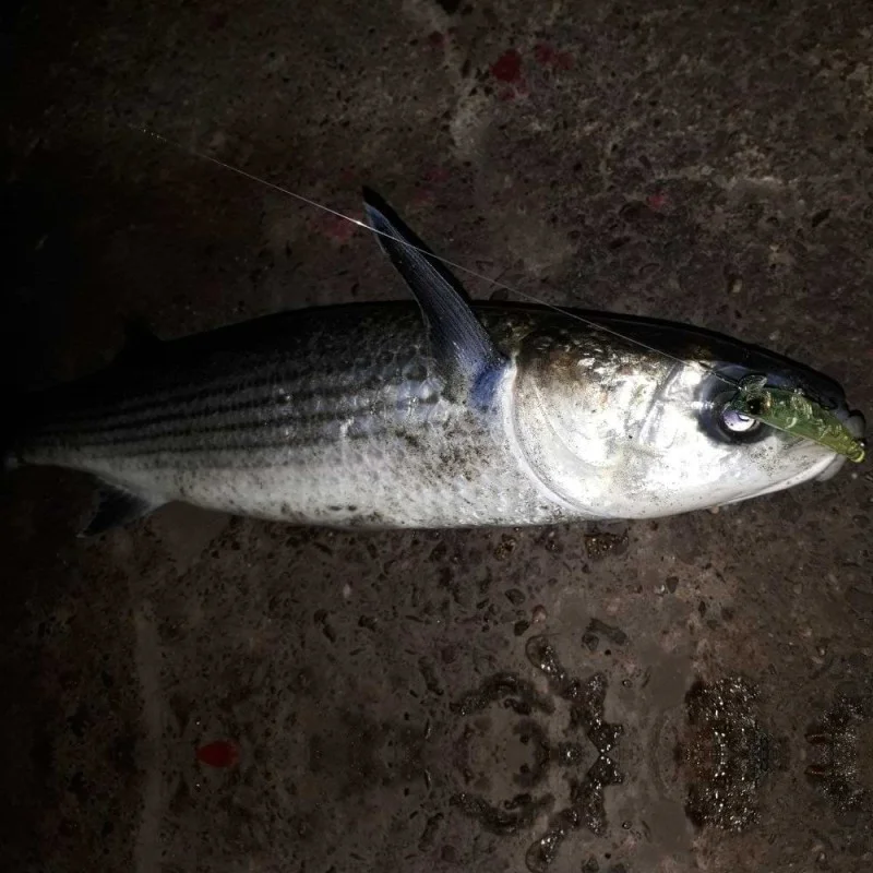 Воблер APIA Hydroupper 55S 5.5g