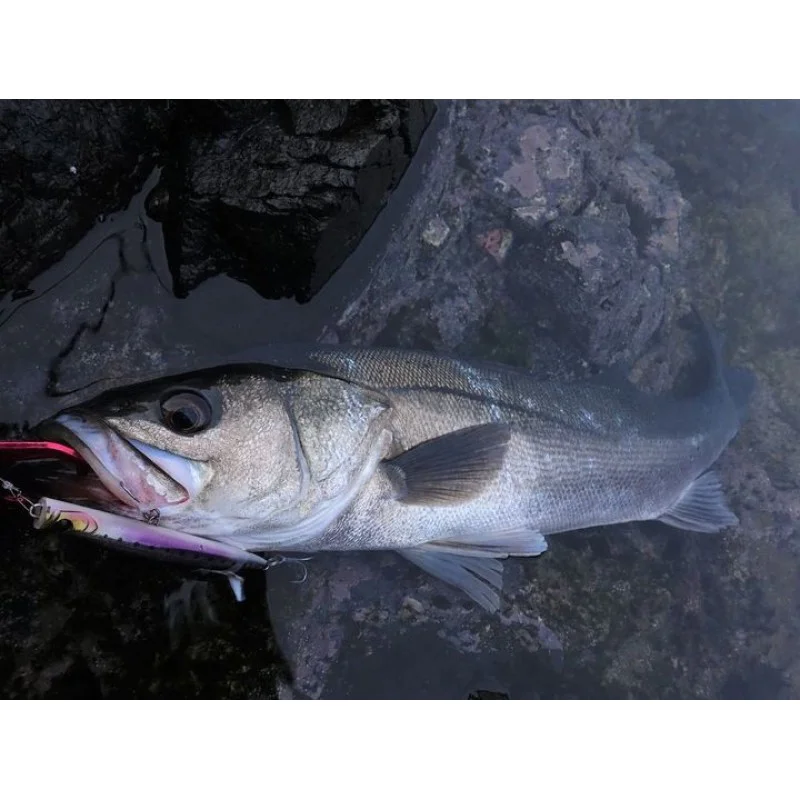 Воблер APIA Punch Line 130 36g