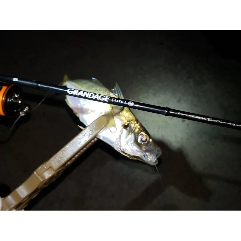 Спининг въдица APIA Grandage Lite 55