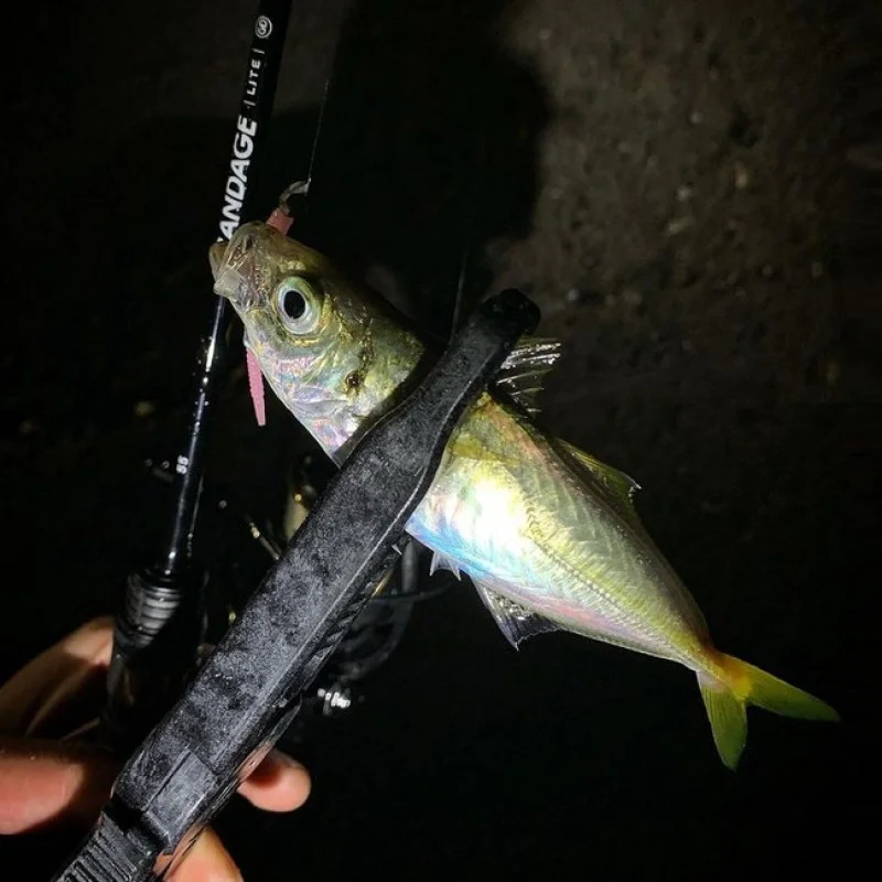 Спининг въдица APIA Grandage Lite 55