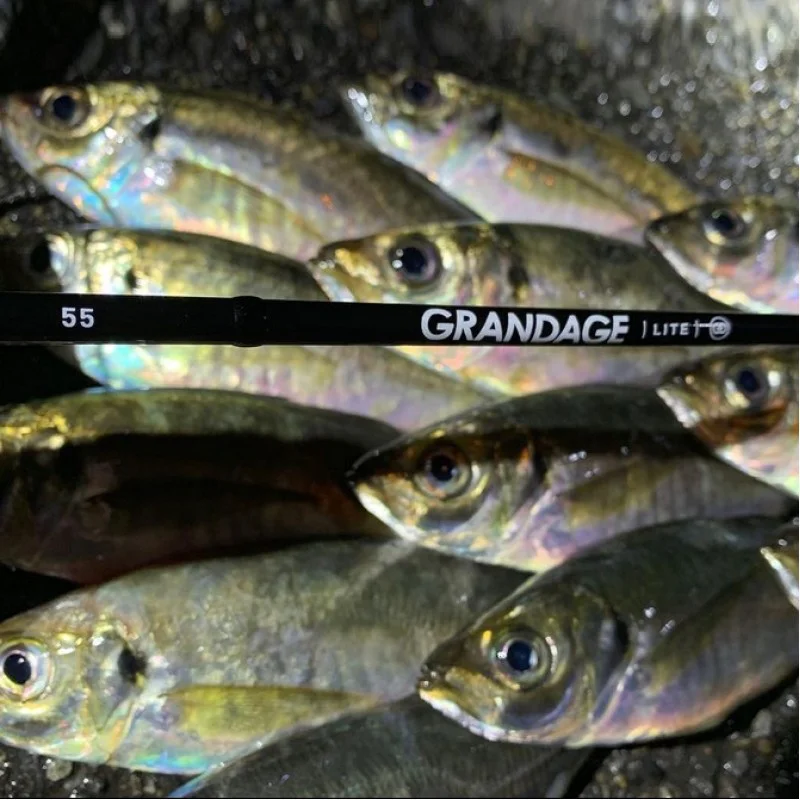 Спининг въдица APIA Grandage Lite 55