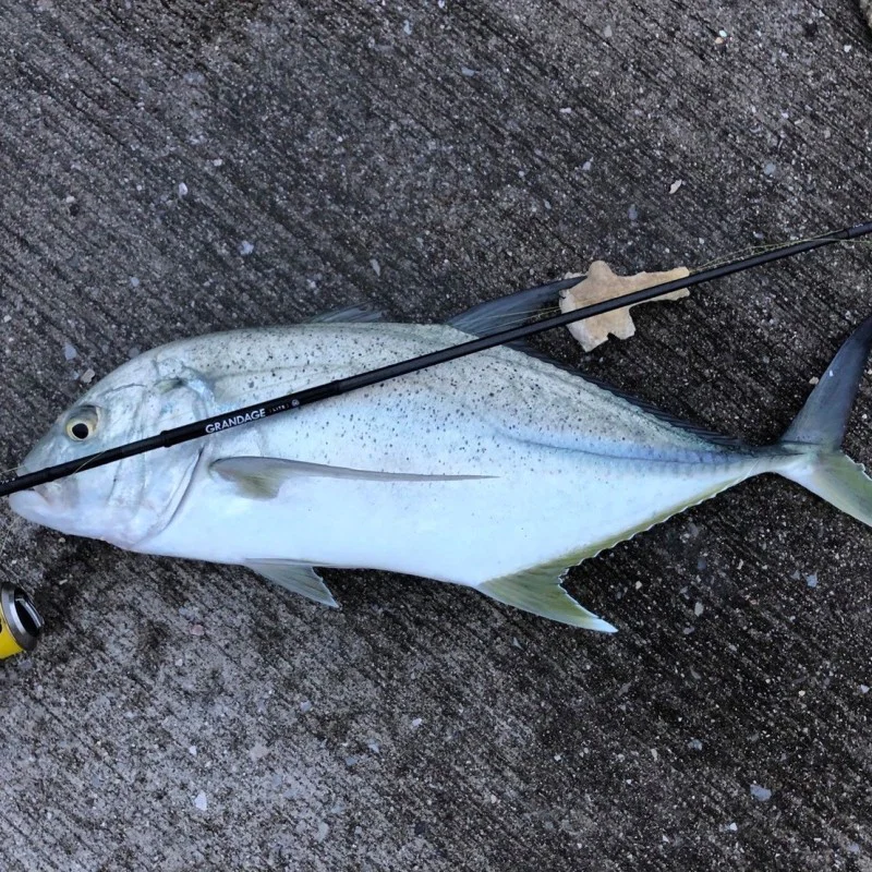 Спининг въдица APIA Grandage Lite 76