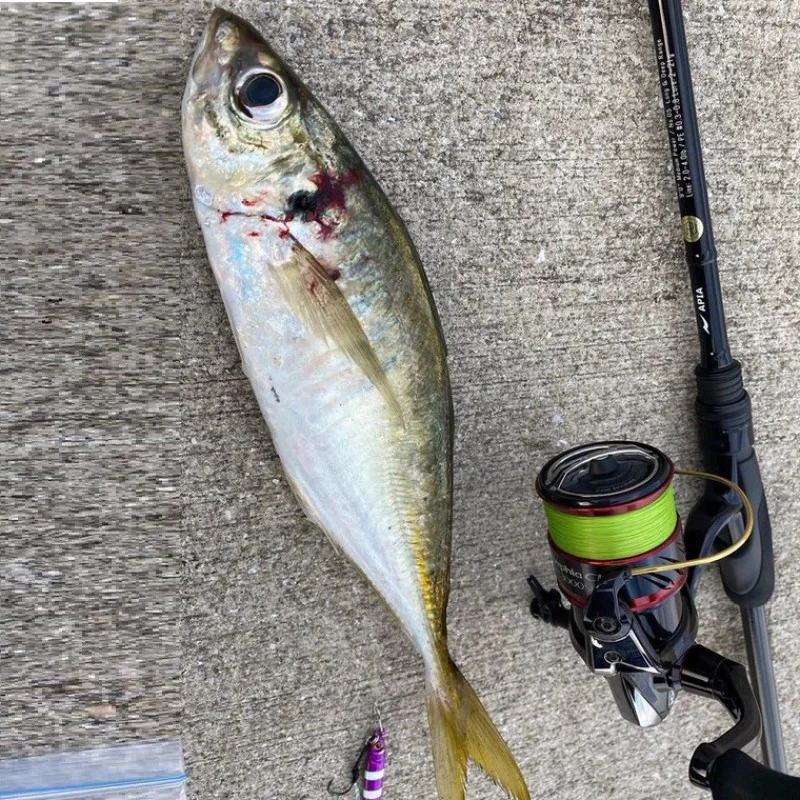 Спининг въдица APIA Grandage Lite 90