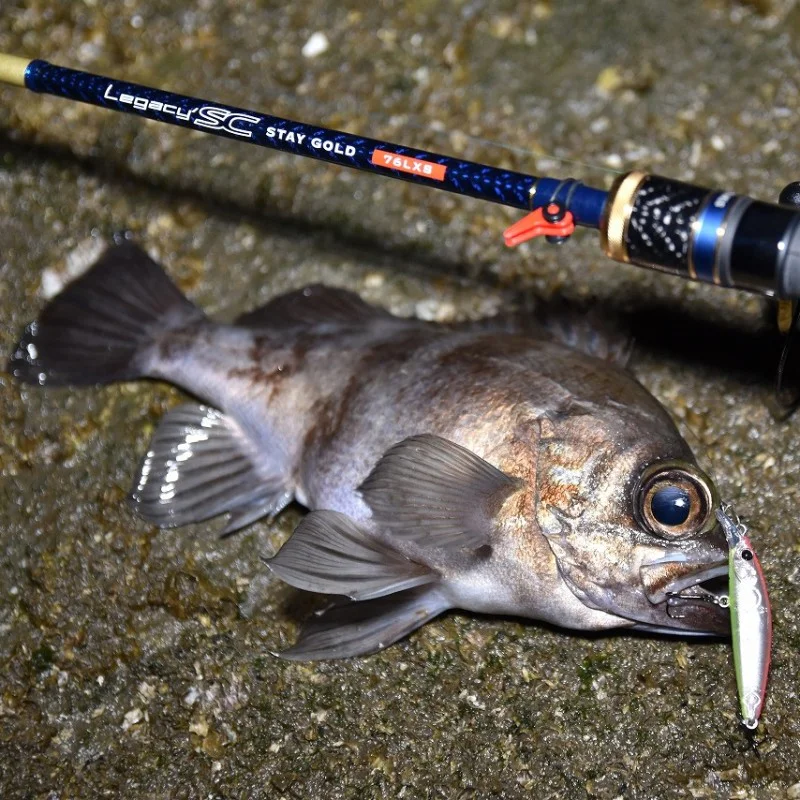 Воблер APIA Dover 46 Slow Sinking 2.3g