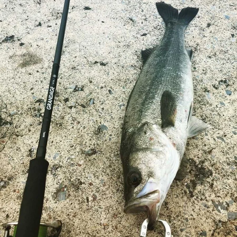 Спининг въдица APIA Grandage STD 90ML