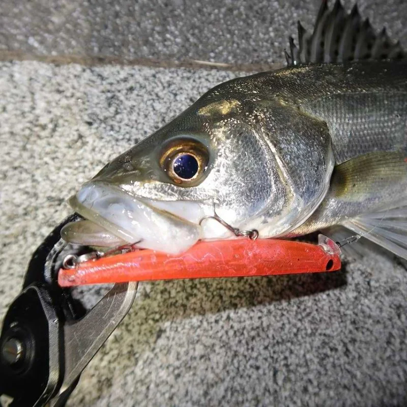 Воблер APIA Hydroupper Slim 100S 10g