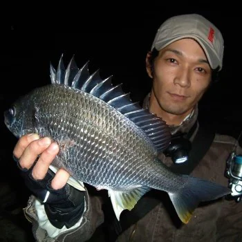 Изкуственна примамка APIA Chinupara Dodge 10g