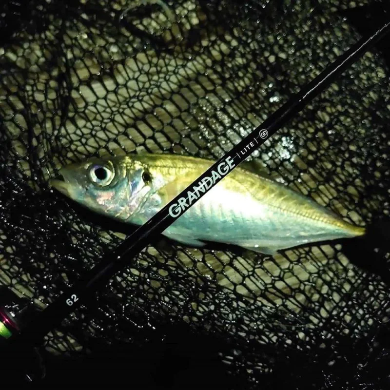 Спининг въдица APIA Grandage Lite 62