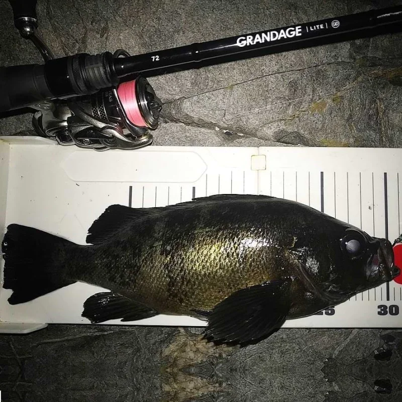 Спининг въдица APIA Grandage Lite 72