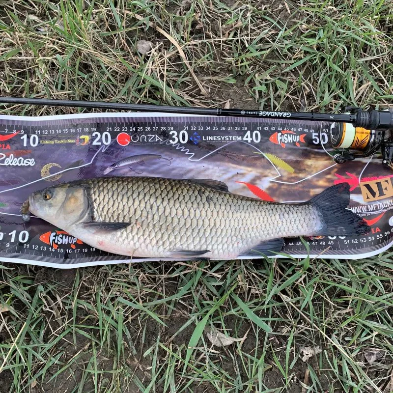 Спининг въдица APIA Grandage Lite 75