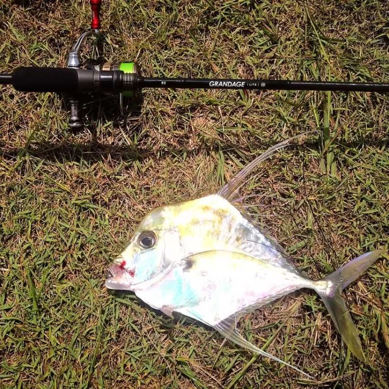 Спининг въдица APIA Grandage Lite 83