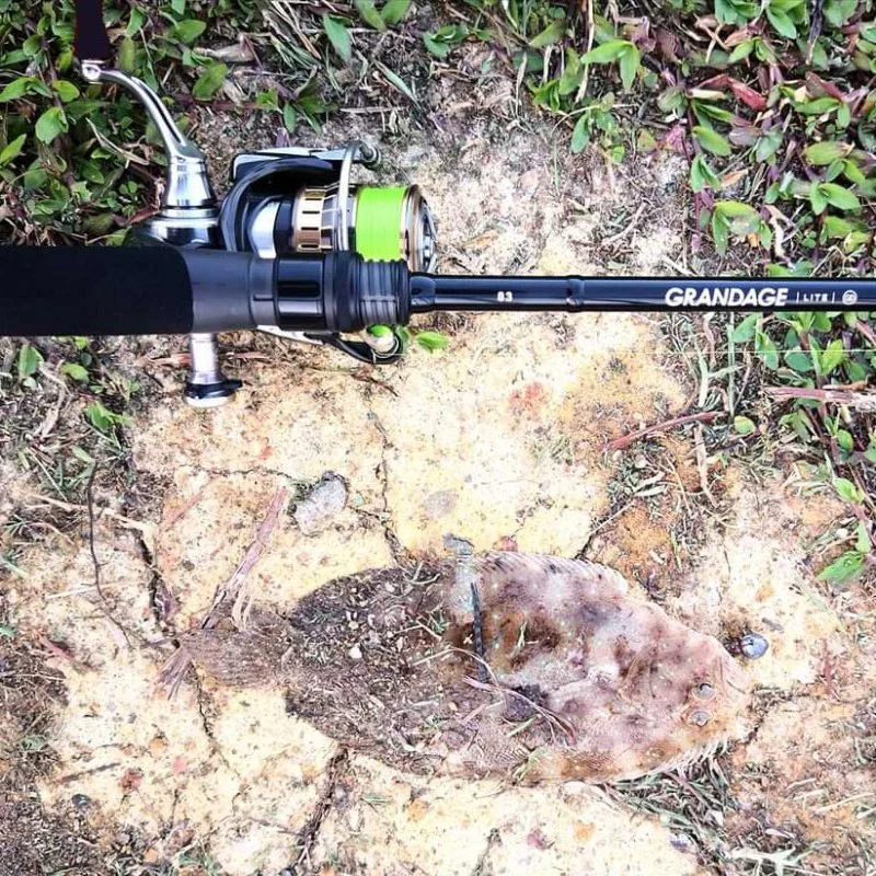 Спининг въдица APIA Grandage Lite 83