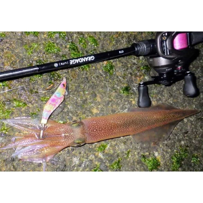 Спининг въдица APIA Grandage Lite C76