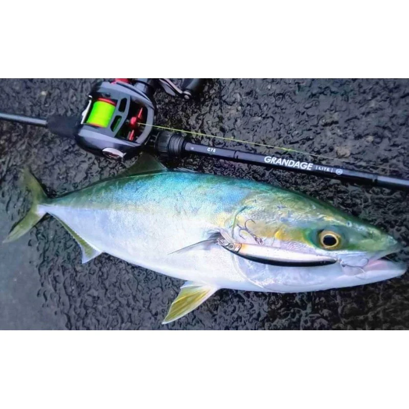Спининг въдица APIA Grandage Lite C76