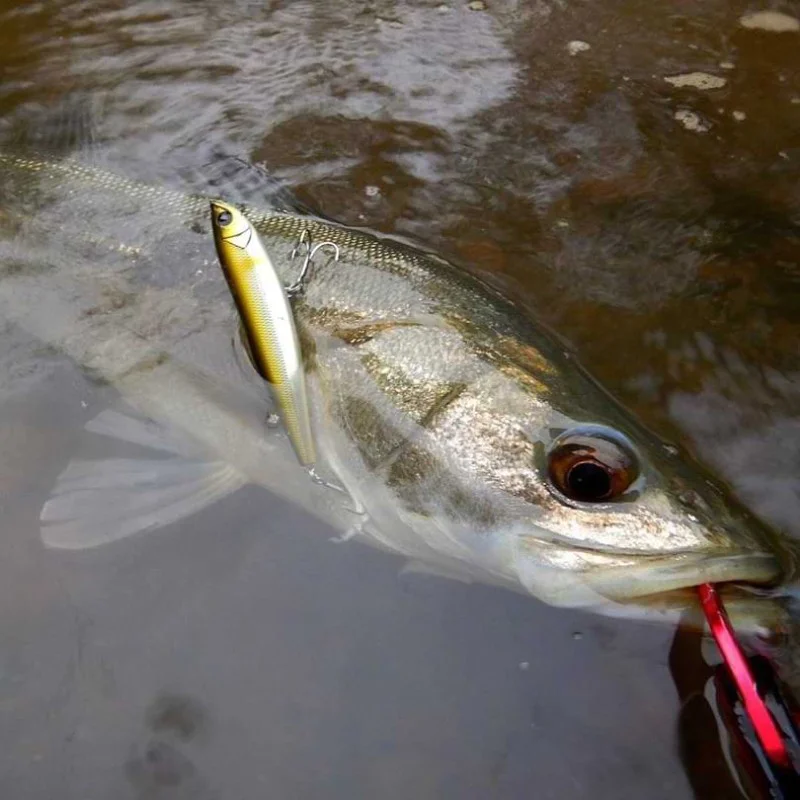 Воблер APIA Argo 105 16g