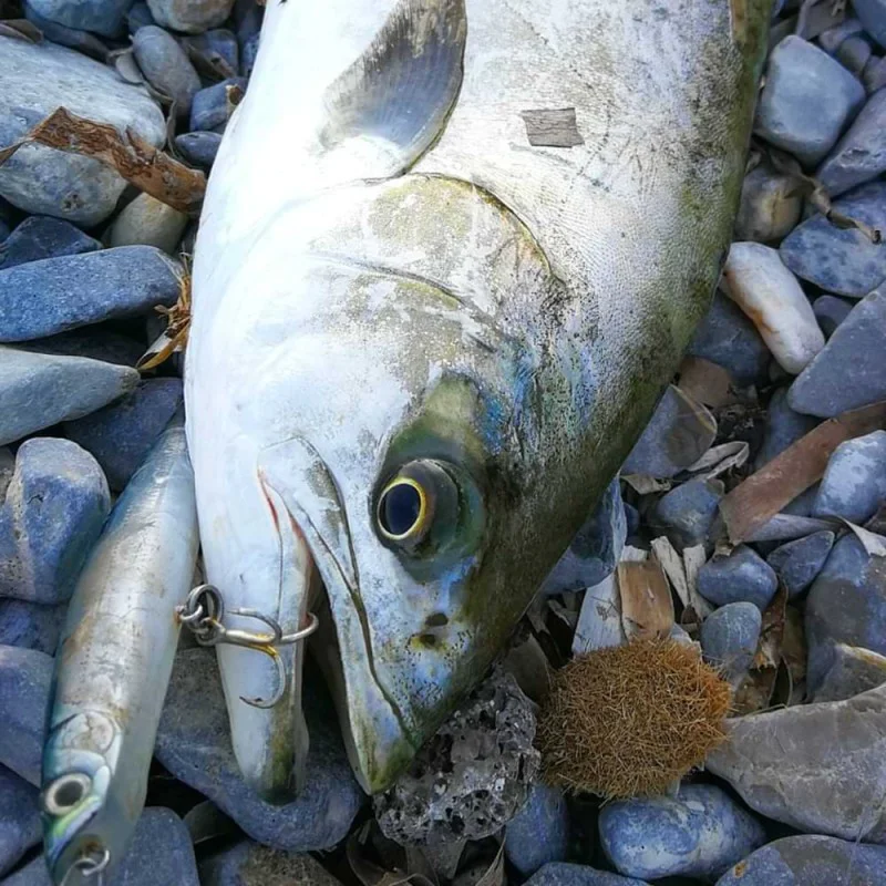 Воблер BASSDAY Sugapen 95F 9.5cm 8.5g Floating